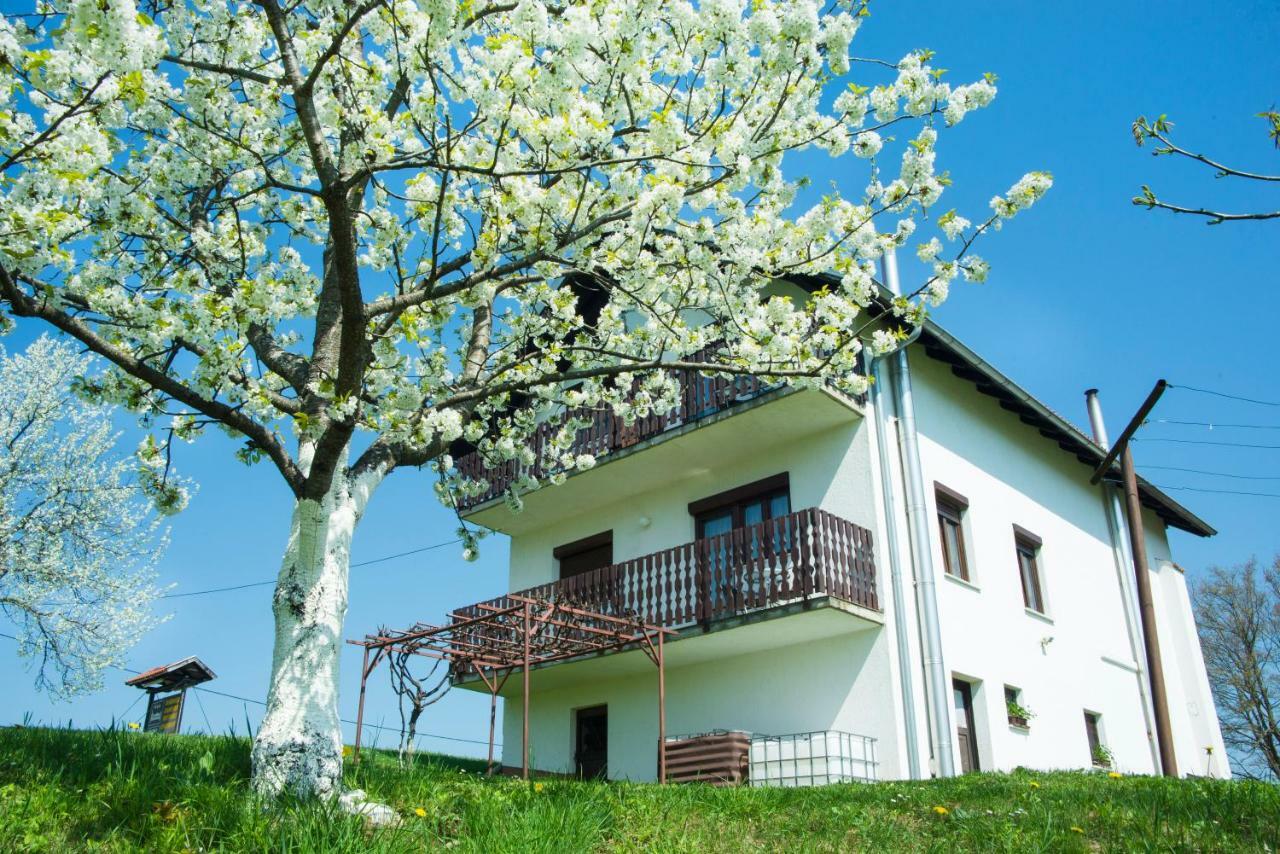 فندق سيليست دريزنيكوفي  House Spehar المظهر الخارجي الصورة