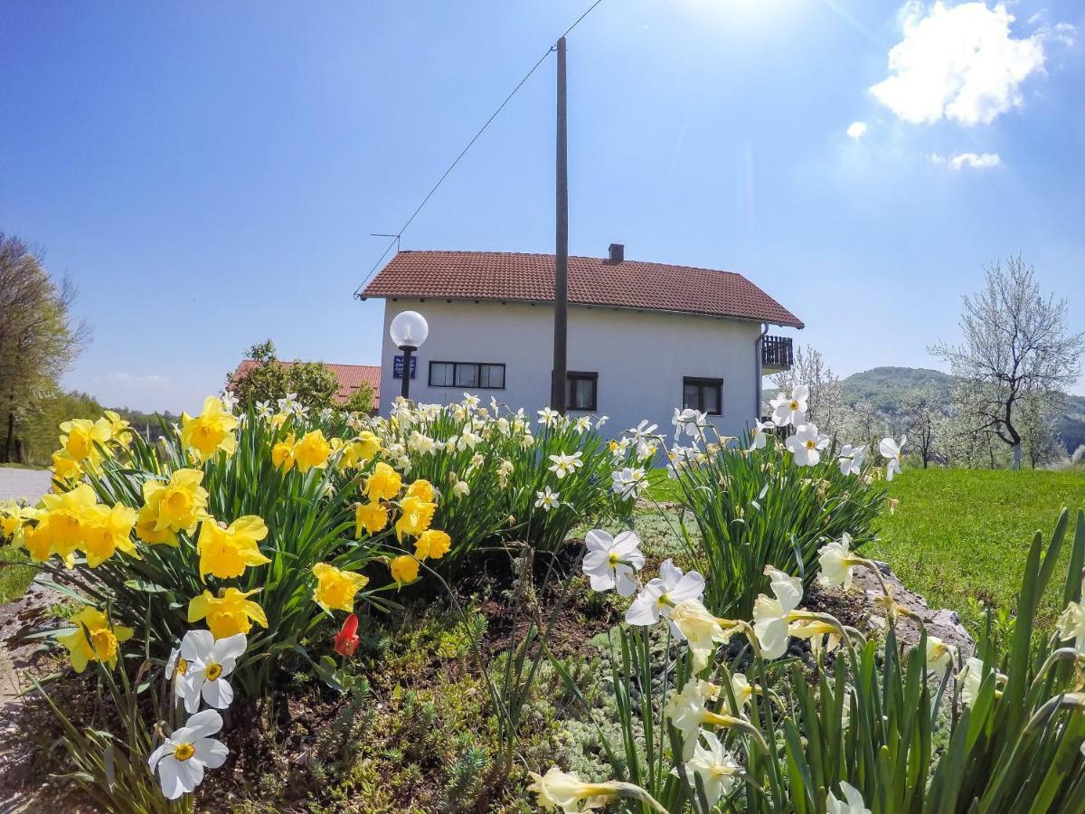 فندق سيليست دريزنيكوفي  House Spehar المظهر الخارجي الصورة